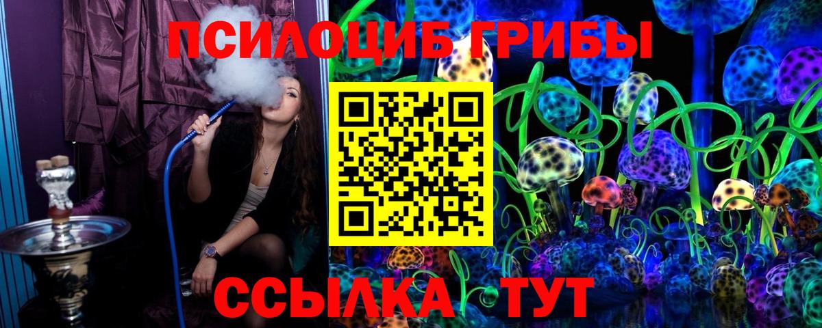 Тюмень  Псилоцибиновые грибы Psilocybe  Вход с VPN 